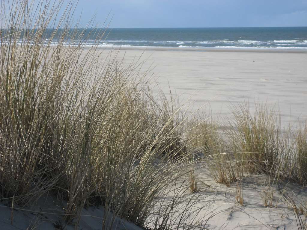 Ringhotel Residenz Wittmund Ngoại thất bức ảnh
